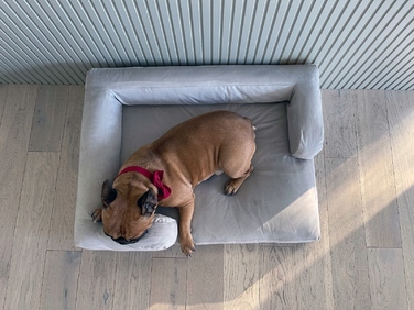 Лежак для собак Montclair