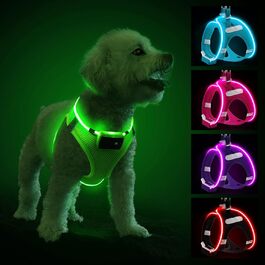 Світловідбиваючий нашийник для собак PcEoTllar з LED підсвічуванням (3 режими), зелений, для маленьких та середніх собак