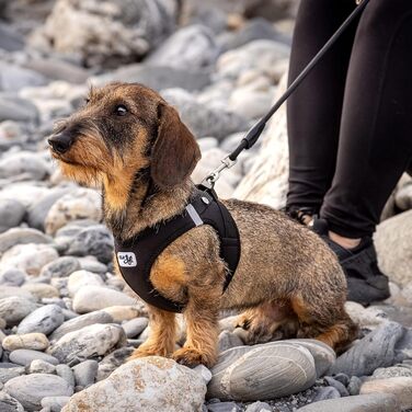 Шлейка для собак Curli Clasp Softshell (S, Чорний)