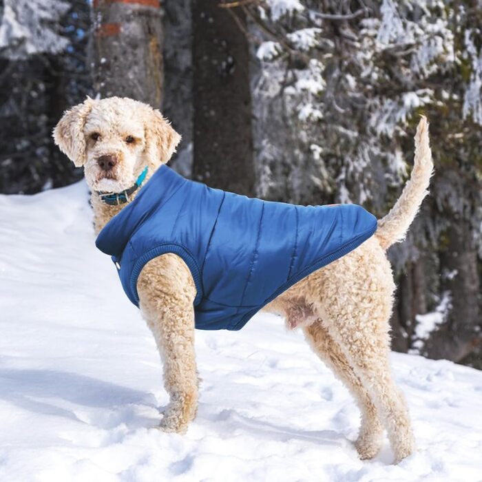 Зимовий одяг для собак Meioro: тепла куртка, флісова жилетка, м'який светшот для малих та середніх собак (XS, блакитний)