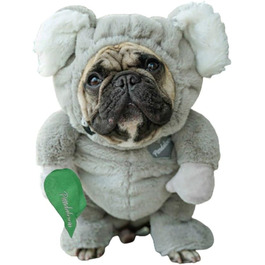 колір: коала