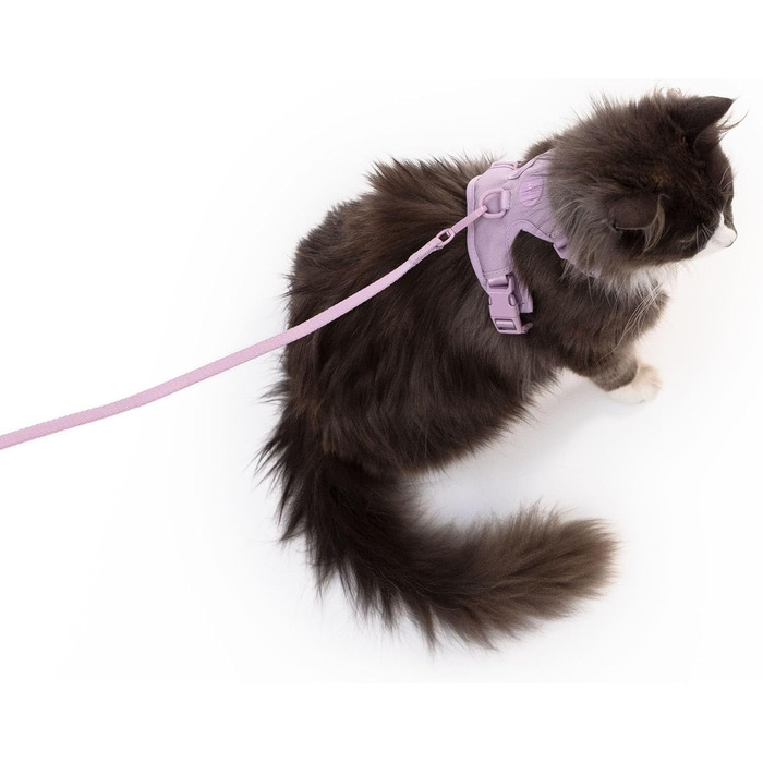 Шлейка для котів LucyBalu® Explorer з повідком | Безпечна шлейка з відділенням для AirTag | Lila XS/S