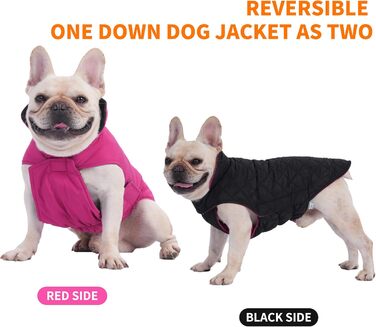 PetWarm Зимовий пуховий жилет для собак, двосторонній, водонепроникний, для маленьких, середніх та великих собак, справжній пух для максимального тепла та захисту від холоду, розмір Small (упаковка 1)