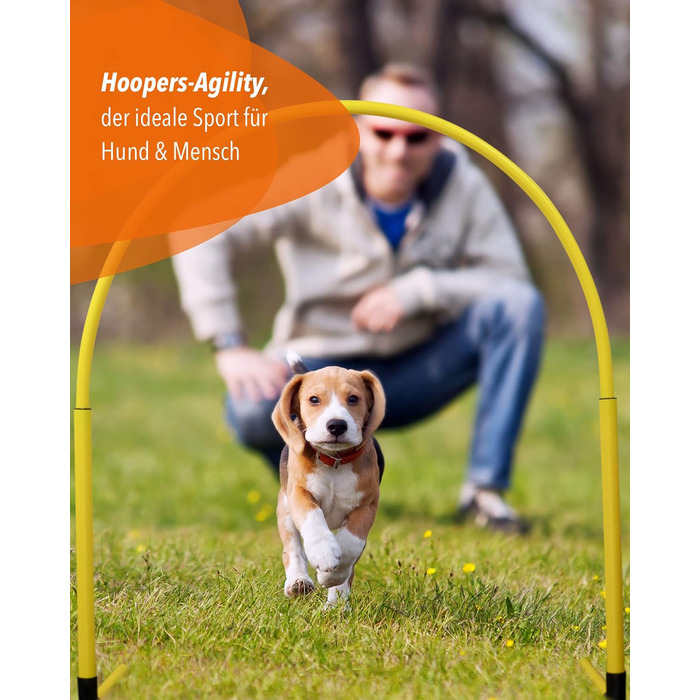 SPORTIKEL24 Superhund Hoopers Hoop – іграшка для аджиліті собак, кільця для хоперс, пластик, блакитна основа з кольоровими арками, VDH-сертифікована, гнучка, стійка до погодних умов (блакитний/жовтий)