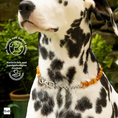 Нашийник для собак та котів Amberta Bernstein: бурштинова прикраса, 40-45 см