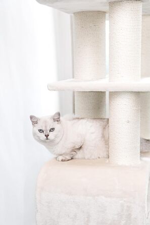 Дряпка для великих котів Petrebels Maine Coon XXL Route 180 см, беж/крем, стовпи Ø12/15 см натуральний сизаль, дизайн для мейн-кунів