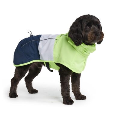 Дощовик для собак Spark Paws водонепроникний, вітрозахисний, розмір 2XL (біло-синій), повний захист тіла, світловідбиваючий, дихаючий