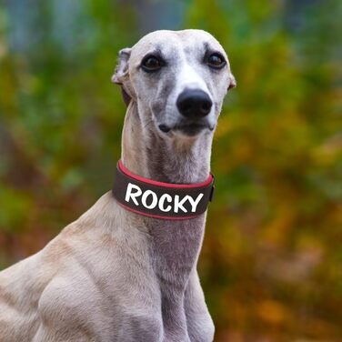 Нашийник для собак середніх та великих порід PET ARTIST з міцної шкіри PU, регульований, з металевою застібкою, для Пітбулів та великих собак, чорний, L (43-51 см)