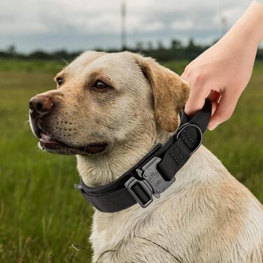 Нашийник для собак регульований з контролем, тактичний нашийник з нейлону, з м'якою підкладкою, з металевою застібкою, для середніх та великих собак, для полювання, тренувань, активного відпочинку, чорний, розмір L (45-54 см)
