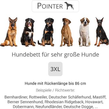 Ортопедичне ліжко для собак середнього розміру - ліжко з знімним матрацом, прання до 95°C, сушка в сушильній машині, стійке до подряпин та укусів, Made in Germany (XXXL - 110x100 см, Антрацит)