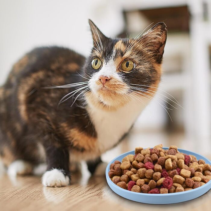 Набір з 4 миски для котів, 18 см, силікон, для сухого та вологого корму (блакитний, зелений, жовтий)