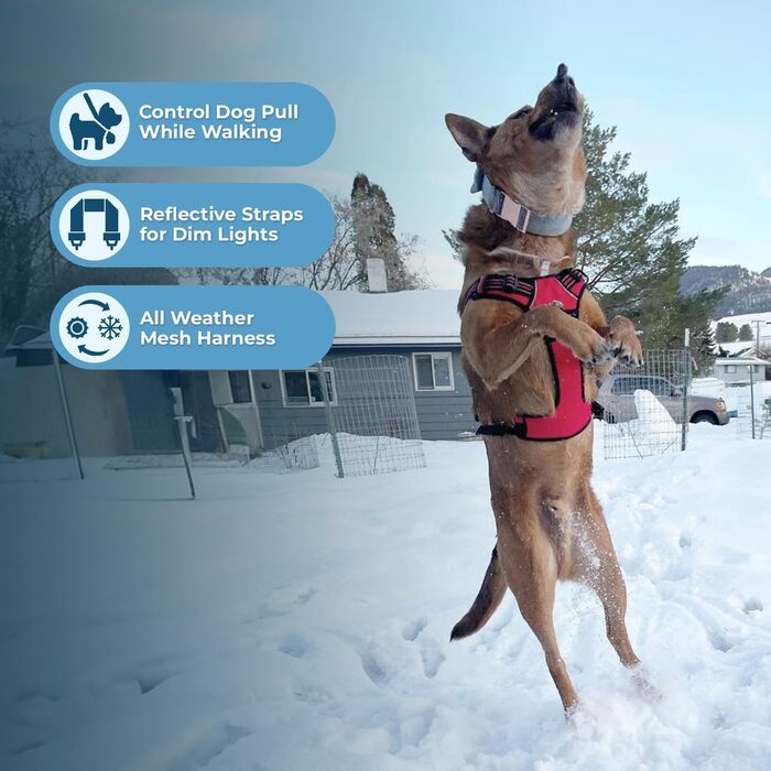 Регульована шлейка для собак Voyager Von Best Pet Supplies з 3M-рефлектором, подвійне кріплення, проти ривків, червона
