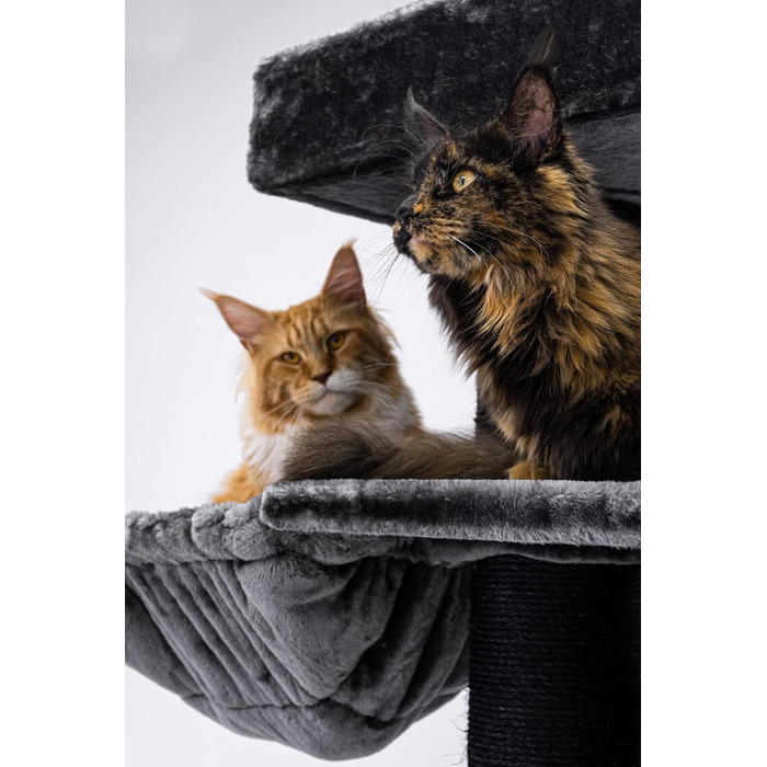 Дерев'яний кігтеточка для великих котів Petrebels Maine Coon XXL Lookout 198, надміцний, стовпи 15 см Ø, 100x60x198 см, чорний