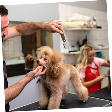 Щітка для вичісування підшерстка для собак та котів BESPORTBLE (2 шт.) - видалення підшерстка та втраченого волосся