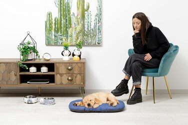 Подушка для собак та котів Baroni Home, 47x70x8 см, сіро-блакитна, M