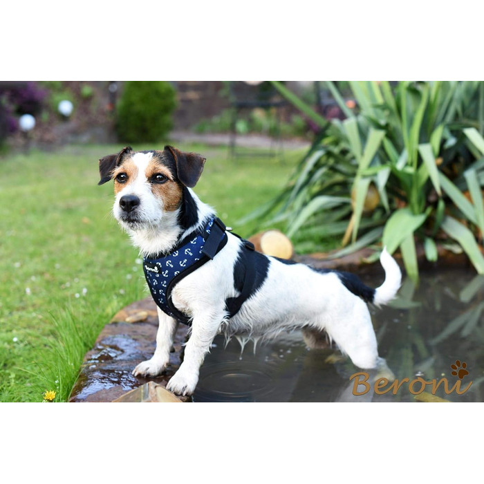 Нашийник для собак Softgeschirr Anker Maritim: м'який, регульований, для відпочинку, розмір L (37-42см/47-63см)