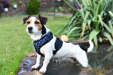 Нашийник для собак Softgeschirr Anker Maritim: м'який, регульований, для відпочинку, розмір L (37-42см/47-63см)