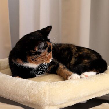 Кігтеточка для котів Lionto з лежаком та гніздечком, 50 см, з іграшкою, мотузкою та плюшем, підходить для кошенят та дорослих котів, бежева