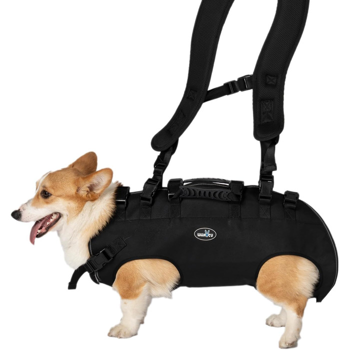 Сумка-переноска та повідок для собак, Wakytu, для маленьких собак (4-8 кг), чорний, регульовані ремені