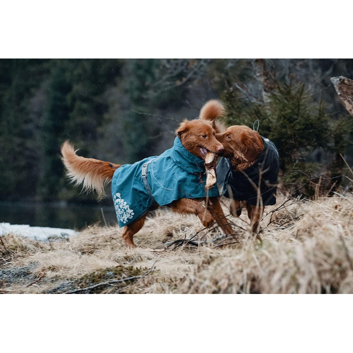 Дощовик для собак Hurtta Monsoon, BlackBerry, 61 см