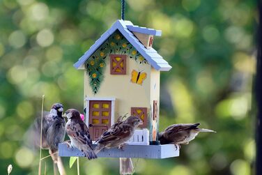 Будиночок для птахів Dobar® 25119FSC Summer - яскравий дерев'яний годівничок для птахів, 18x18x23 см