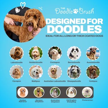 Щітка для собак Doodle Brush для золотистих ретриверів, лабрадудлів і пуделів – пуходерка для довгошерстих собак, розплутувальна щітка з одинарною головкою