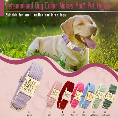 Персоналізоване собаче нашийник з металевою застібкою, нашийник з іменем та номером телефону, регульовані розміри для великих та середніх собак