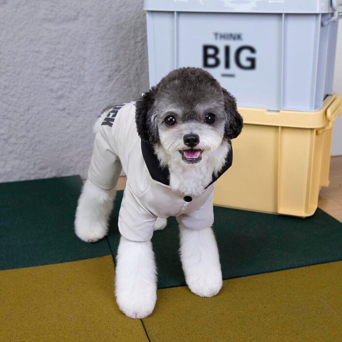 Теплий зимовий халат для собак та котів, водонепроникний, з бавовни, сірий, XXXL (довжина спини 42 см)