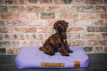 Ортопедичне ліжко для собак Roth & Bock з м'якої піни, сертифіковане Oeko-Tex Standard 100, покриття з водонепроникного канвасу, жовте, розмір S