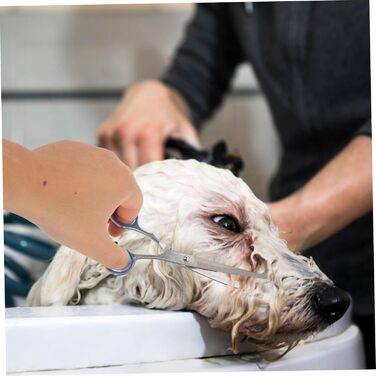 Набір професійних ножиць для грумінгу собак та котів з високоякісної цинкової сплави та ергономічними ручками