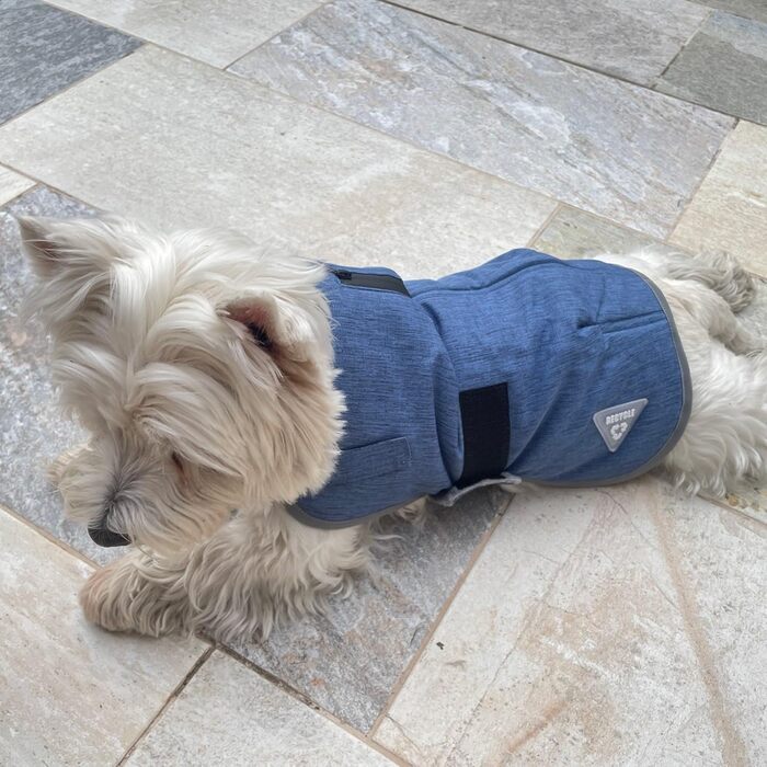 Ляжка для собак United Colors of Benetton, M, коричнева, 75 см, поліестер, ергономічна, для середніх собак