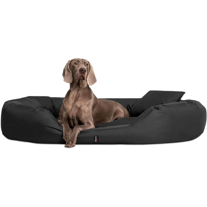 Ортопедичне ліжко для собак Tierlando® Sammy з віскоеластичним матрацом та високим бортиком з міцного поліестеру. Розмір: 140x105 см. Забезпечує комфортний та щадний сон для суглобів вашого улюбленця.