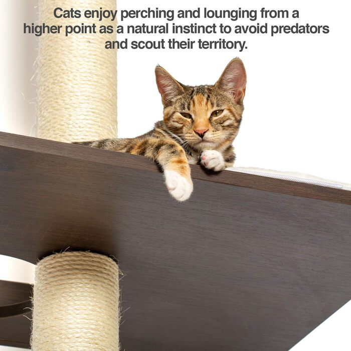 PetFusion Ultimate Котячий дерев'яний комплекс для лазіння та активності, 195 см, з високими сизалевими стовпами, настінний монтаж, сучасний дизайн, колір еспресо, гарантія 1 рік
