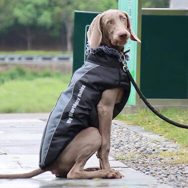 PETCUTE Водонепроникна зимова куртка для собак 3XL, тепла відбивна жилетка з регульованим ременем, для великих і середніх собак, з нашийником, ідеальна на зиму