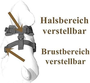 Нашийник для собак Softgeschirr Anker Maritim: м'який, регульований, для відпочинку, розмір L (37-42см/47-63см)