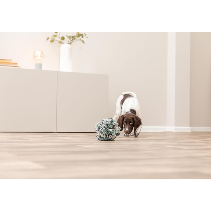 TRIXIE Килимок-головоломка для собак 'Schnüffelteppich' – інтелектуальна іграшка для собак, 70x47 см, 32005