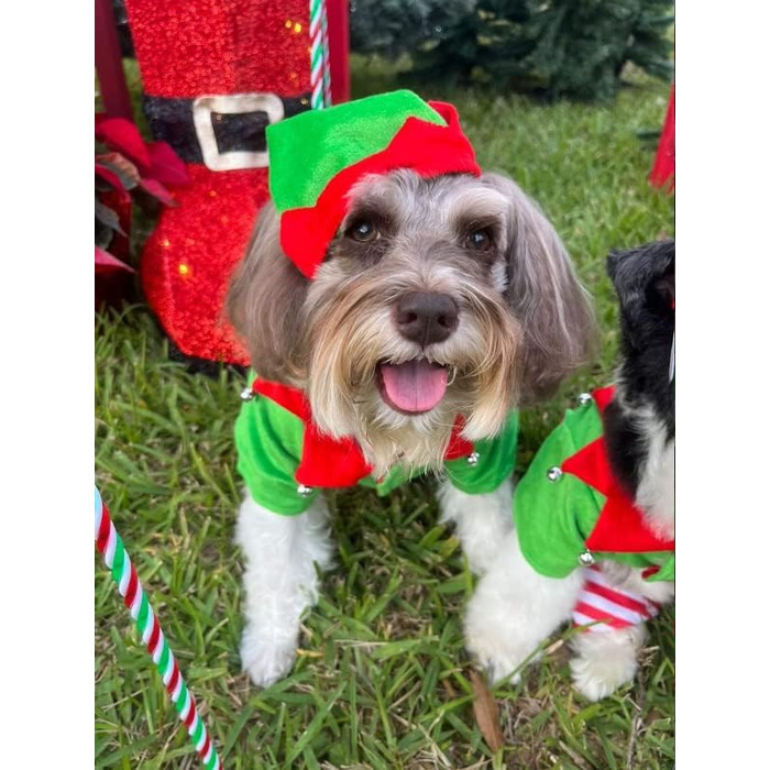 Костюм собаки та ельфа Midlee, розмір L (S)