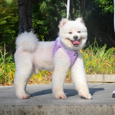 Нашийник та поводок для цуценят, комплект для прогулянок, нашийник-трансформер, м'який, дихаючий, аксесуари для домашніх тварин, світловідбиваючі смуги, для дуже маленьких собак та котів, XXXS (Обіх: 21.5 - 25.5 см)