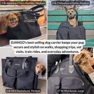 Сумка-переноска для собак DJANGO - чорна, велика, з міцної тканини вощенного канвасу та шкіри, з поворотком-поводком та надійними кишенями