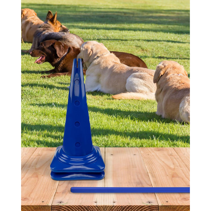 Спортивні фігури для аджиліті – комплекти перешкод для собак, коней та дітей – 50 см (червоний)