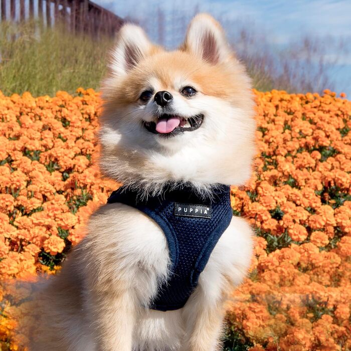 Нагрудник для собак Puppia, розмір S, темно-синій (Navy) - м'яка жилетка для малих та середніх собак, підходить для цуценят, анти-тягнучий нашийник