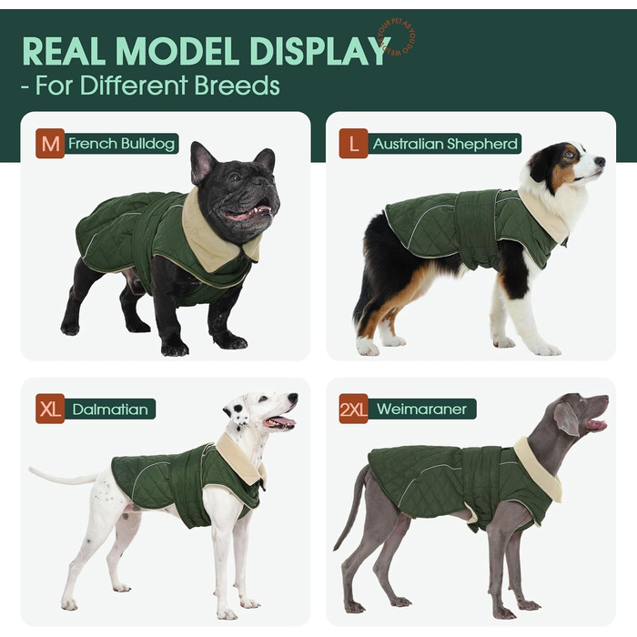 Зимова куртка для собак Kuoser, великих та середніх порід, водонепроникна, тепла, з флісовою підкладкою та регульованим капюшоном (S, Зелений)
