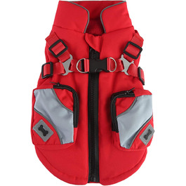 колір: гниль