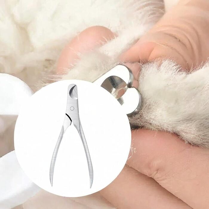 Ножиці для обрізання кігтів тварин, ножиці для кігтів, інструменти для догляду за домашніми тваринами, сталевий колір