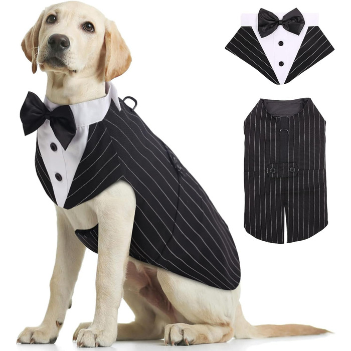 Костюм для собак Kuoser з банданою та краваткою, теплий зимовий, для святкування, вечірки, Хелловін, день народження, S-XXL, смугастий
