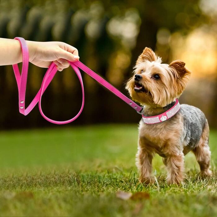 Елегантний нашийник та поводок для собак HALFSUMO з діамантами, з м'якого велюру та шкіри, регульований, для малих та середніх порід, рожевий колір