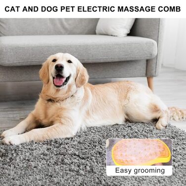 Датчик для котячого догляду Steamy Brush 3-в-1: видалення ворсу та бруду (зелений)