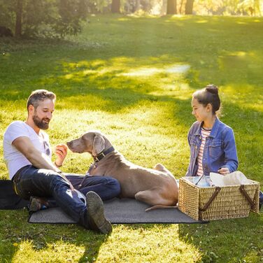 Складана килимок для собак 95x65 см, водовідштовхувальний, для подорожей та дому