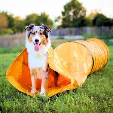 Тунель для собак Vabiono Agility Profi Sack - ігровий тунель для аджиліті, 60x300 см