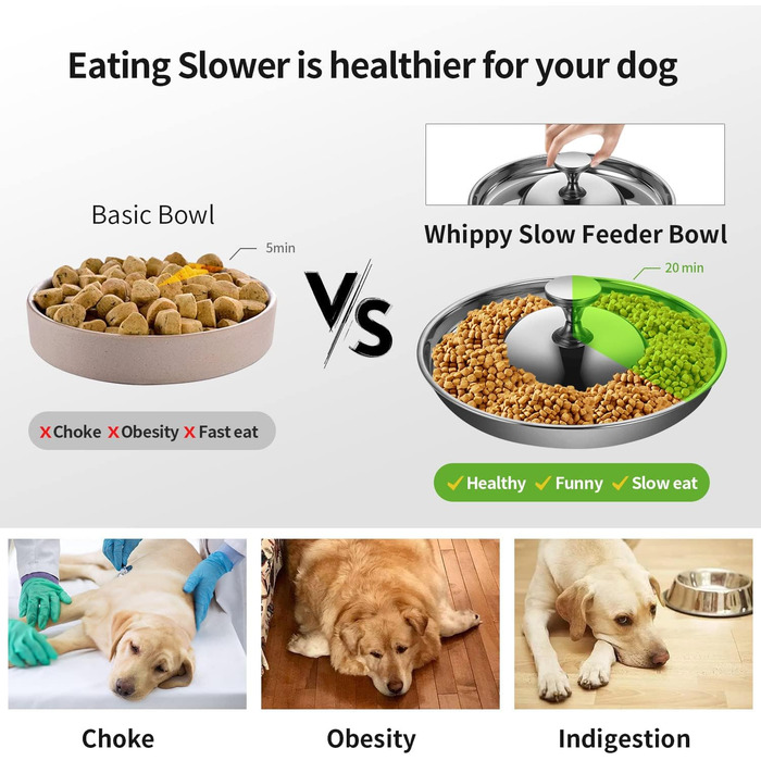 Набір з 2 мисок для цуценят та собак з нержавіючої сталі. Миски для корму та води, повільне годування, відлучення, для маленьких собак та котів